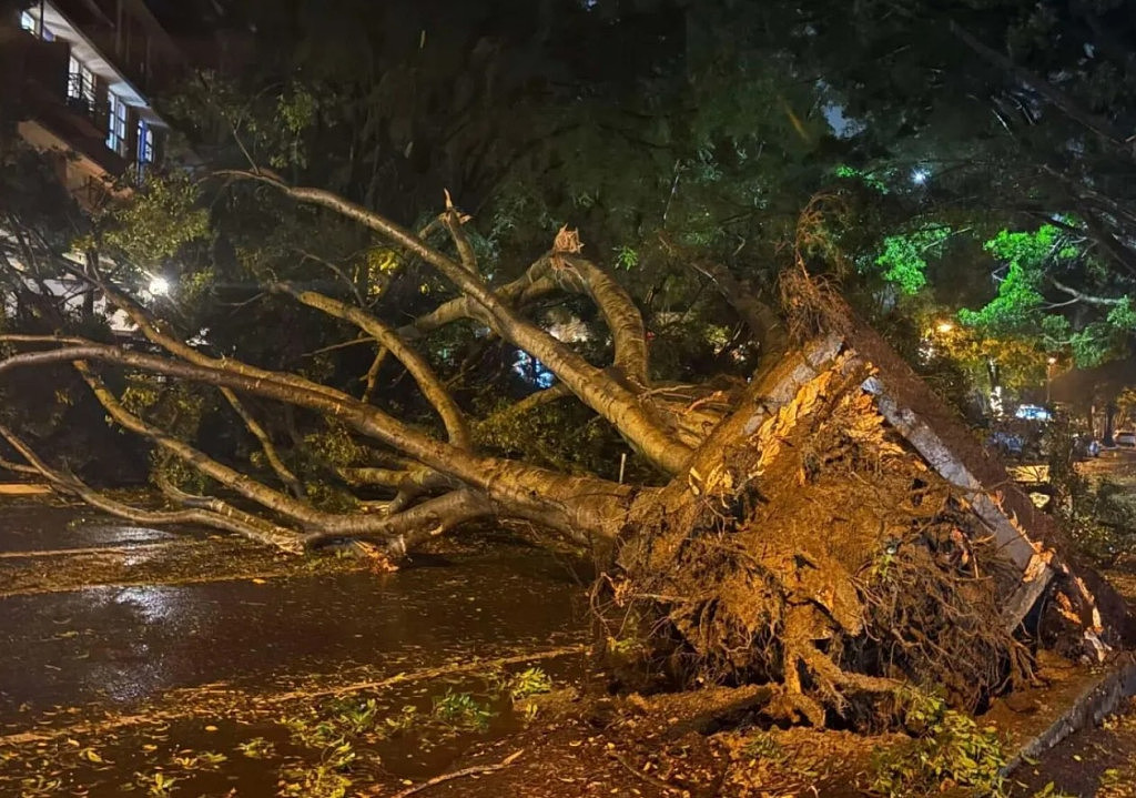 滚动更新：3个月的雨1天下完！昆州多地暴雨成灾，新州数百学校周一继续停课（视频/组图） - 15