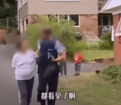 华人大妈赴美帮女儿带娃，竟被报警抓走？真相是…