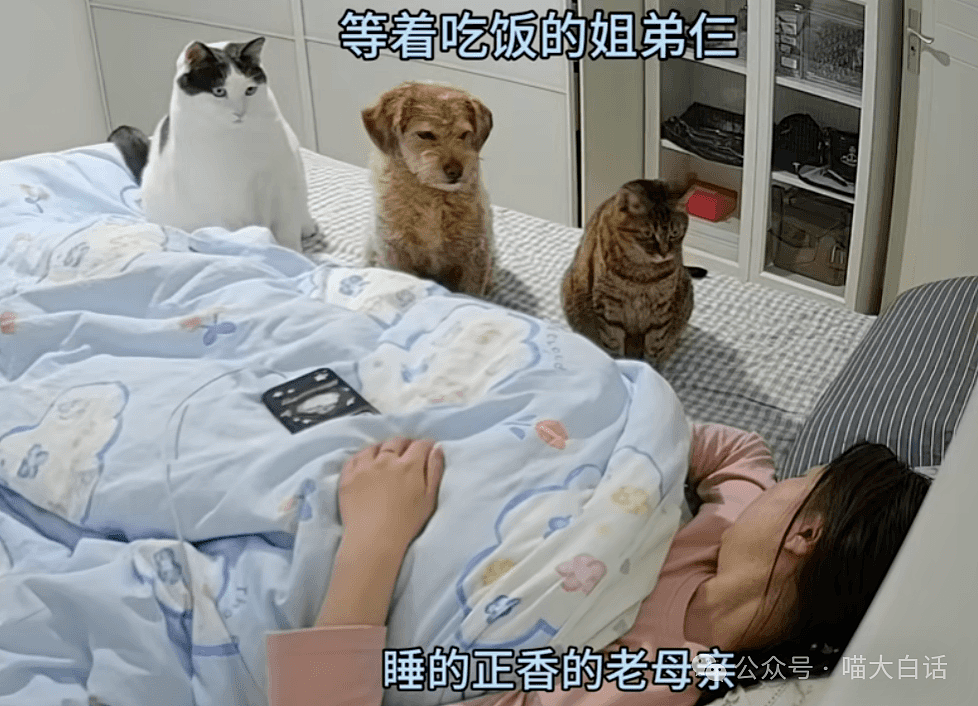 【爆笑】“小孩子说的话能有多炸裂？”哈哈哈哈哈尴尬社死的是家长（组图） - 23