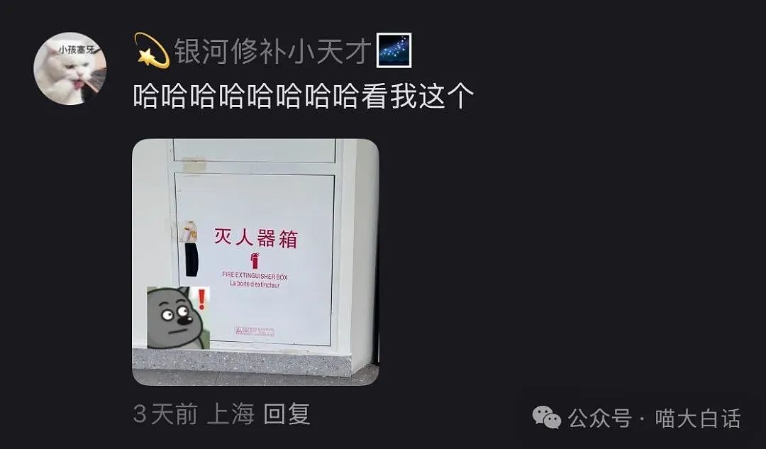 【爆笑】“小孩子说的话能有多炸裂？”哈哈哈哈哈尴尬社死的是家长（组图） - 18