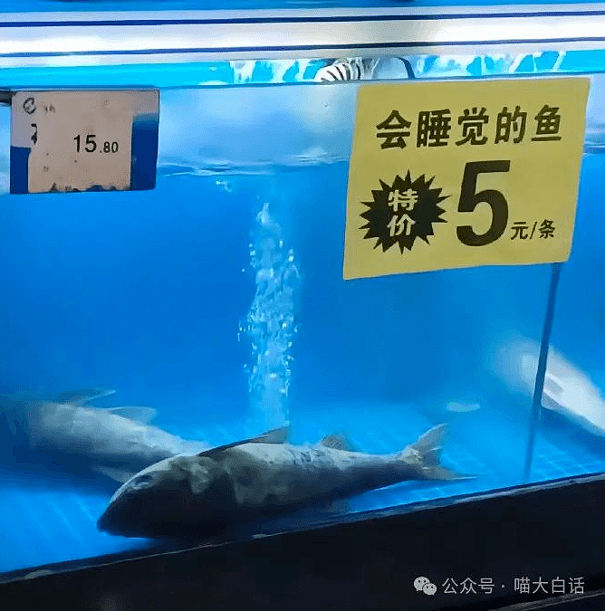 【爆笑】“小孩子说的话能有多炸裂？”哈哈哈哈哈尴尬社死的是家长（组图） - 9