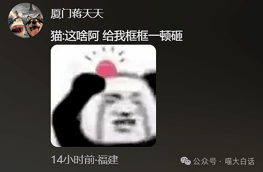 【爆笑】“小孩子说的话能有多炸裂？”哈哈哈哈哈尴尬社死的是家长（组图） - 68
