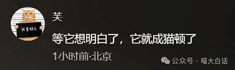 【爆笑】“小孩子说的话能有多炸裂？”哈哈哈哈哈尴尬社死的是家长（组图） - 69