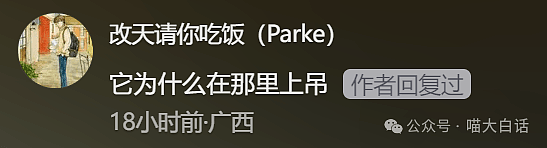 【爆笑】“小孩子说的话能有多炸裂？”哈哈哈哈哈尴尬社死的是家长（组图） - 81
