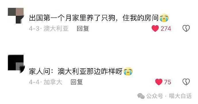 【爆笑】“小孩子说的话能有多炸裂？”哈哈哈哈哈尴尬社死的是家长（组图） - 105