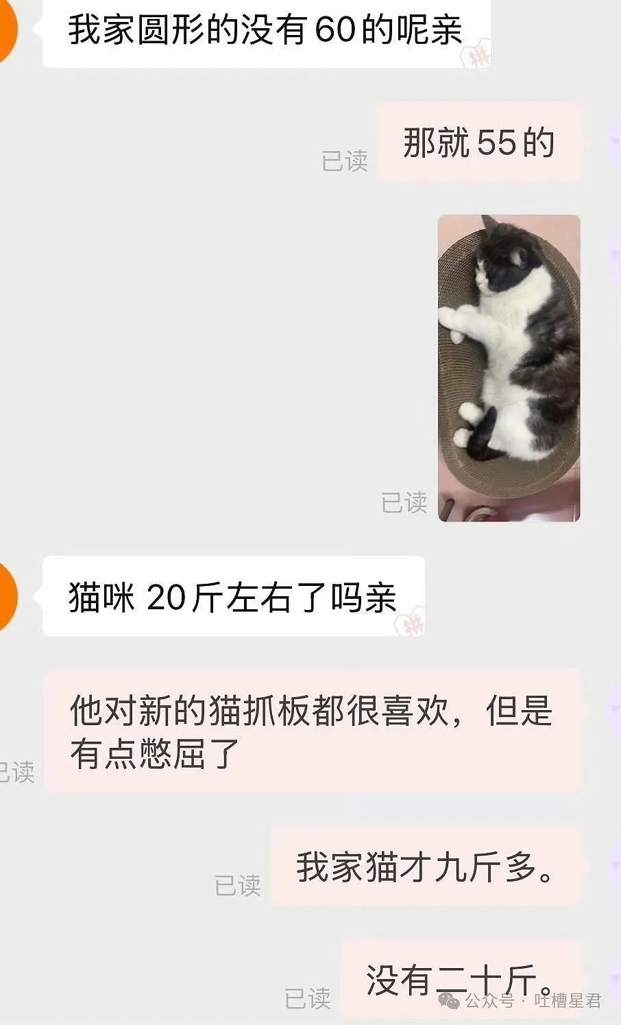 【爆笑】“发现老板在boss上招聘我的岗位？”网友夺笋：最后发现还是你便宜...（组图） - 56