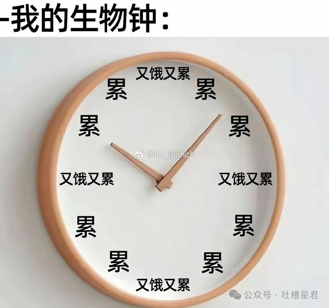【爆笑】“发现老板在boss上招聘我的岗位？”网友夺笋：最后发现还是你便宜...（组图） - 49