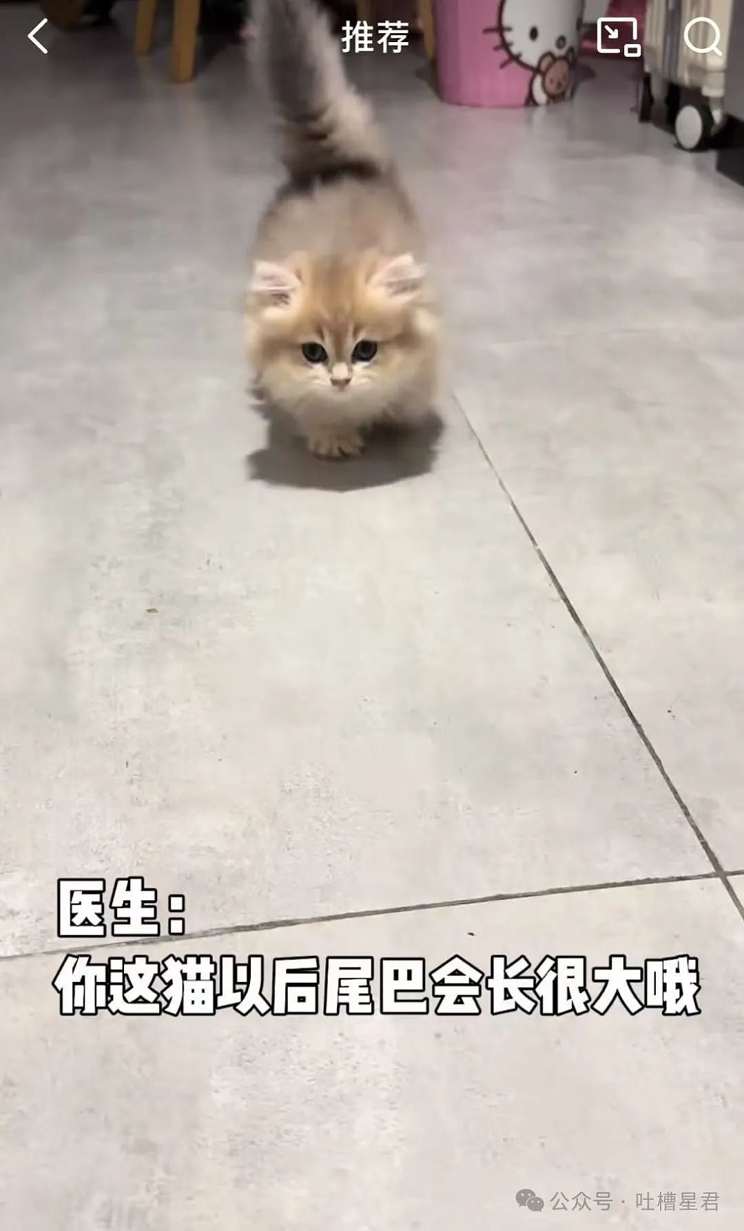 【爆笑】“发现老板在boss上招聘我的岗位？”网友夺笋：最后发现还是你便宜...（组图） - 93