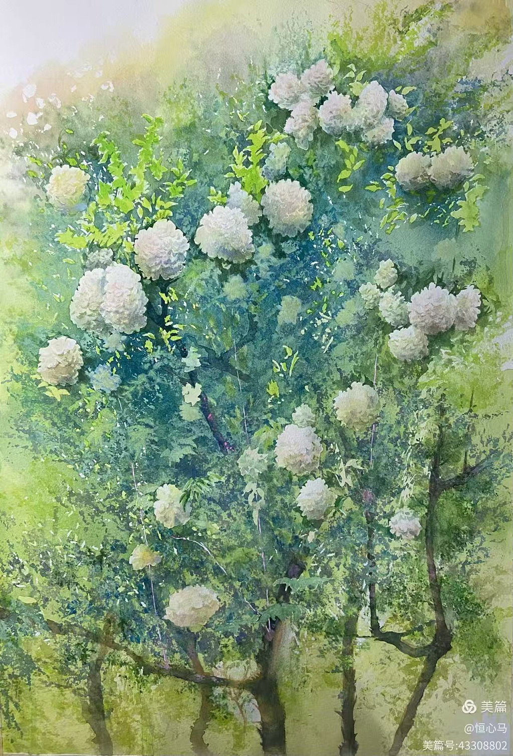 倩影迷离,琳琅溢彩——画家朱倩琳作品展正式开幕(组图) - 9