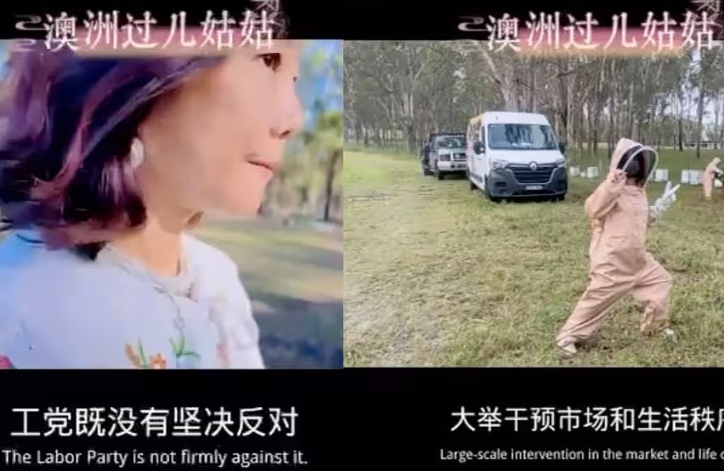 工党连任=交权绿党？中文选情分析视频被指“误导”，官方回应（视频/图） - 2