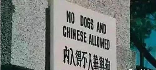 首都师范大学歧视本国学生？游泳馆留学生半价，中国学生不得入内（组图） - 19