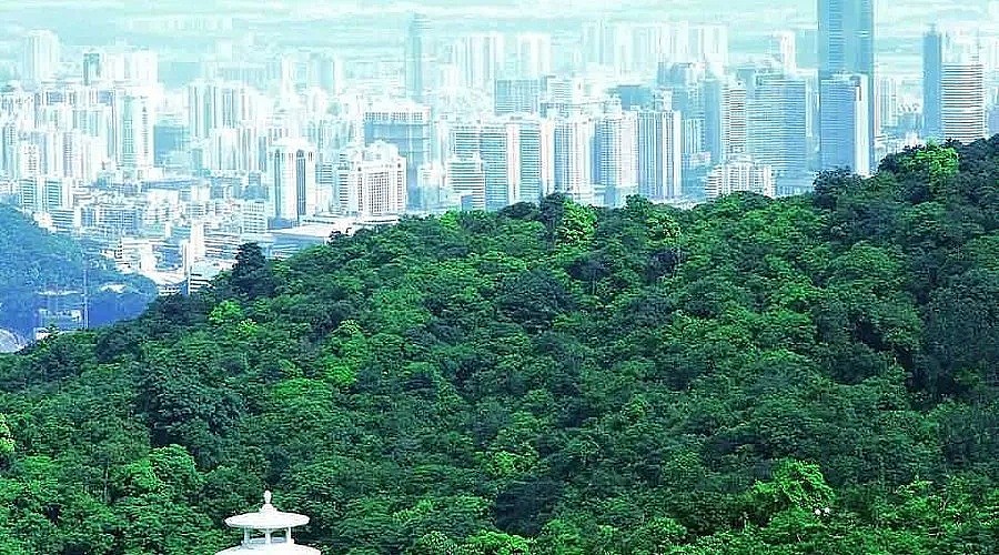逃离寒冬,从珀斯出发,赴一场亚洲的阳光之约......(组图) - 15
