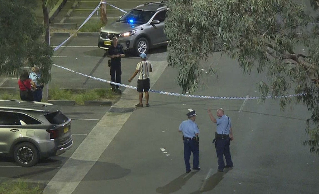 悉尼上演深夜大乱斗！40人在公园内互殴，警员用辣椒水驱赶，多人被捕（组图） - 2