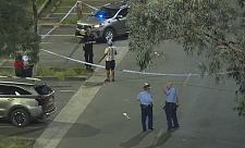 悉尼上演深夜大乱斗！40人在公园内互殴，警员用辣椒水驱赶，多人被捕（组图）