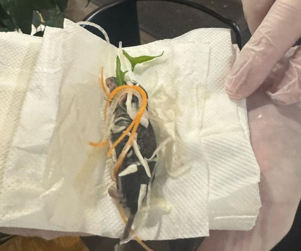 吃到一半发现死老鼠!悉尼日料店“买一送一”挨喷,顾客直呼恶心(组图) - 1