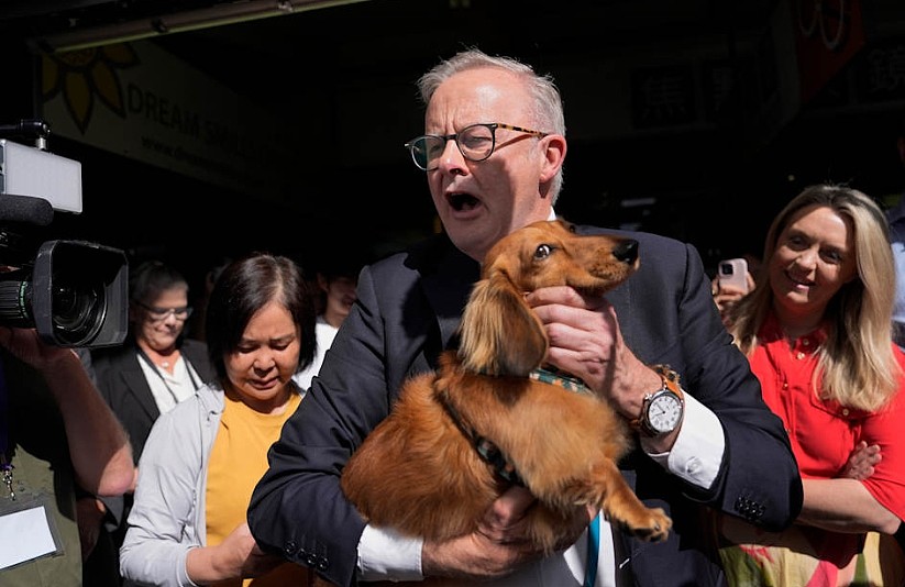 艾博年坚称工党将$780万赤字变盈余！反对党驳斥：撒谎，这个数字只是预测（图） - 2