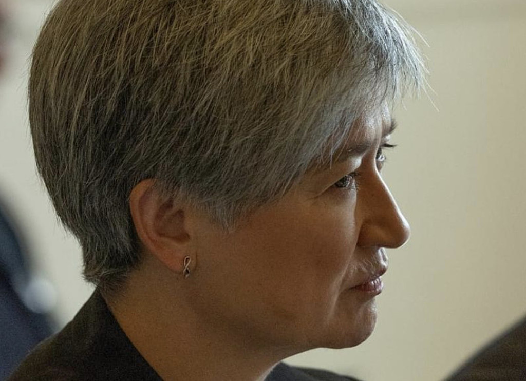 观点：自由党议员“中国间谍”言论惹众怒，华人又成政治筹码（视频/组图） - 3