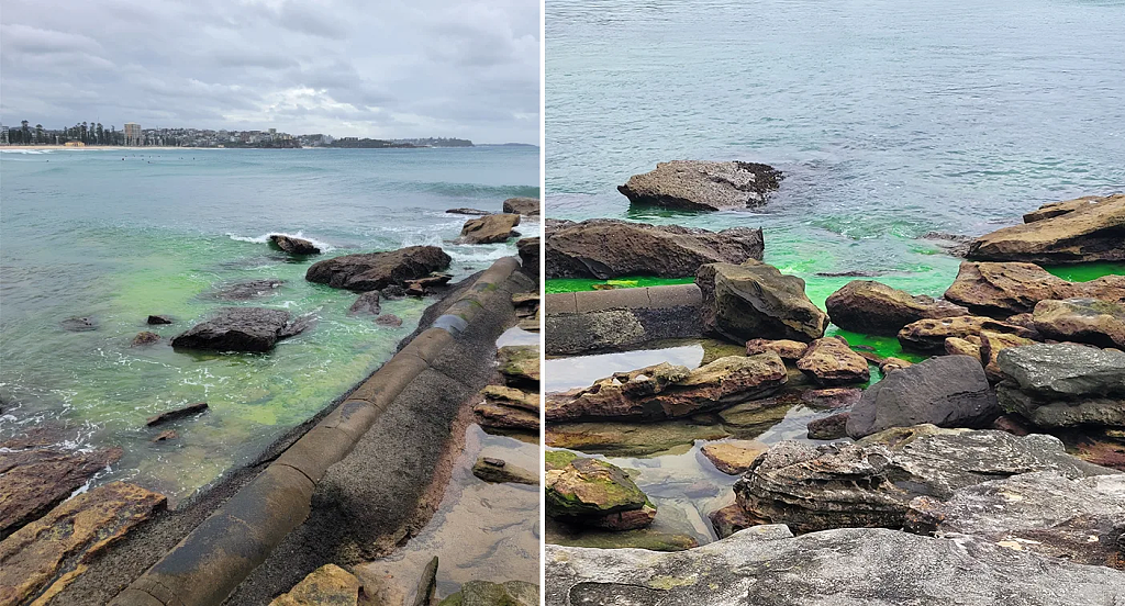 澳洲知名海滩惊现诡异一幕,海水变成亮绿色!路人纷纷驻足围观(组图) - 3