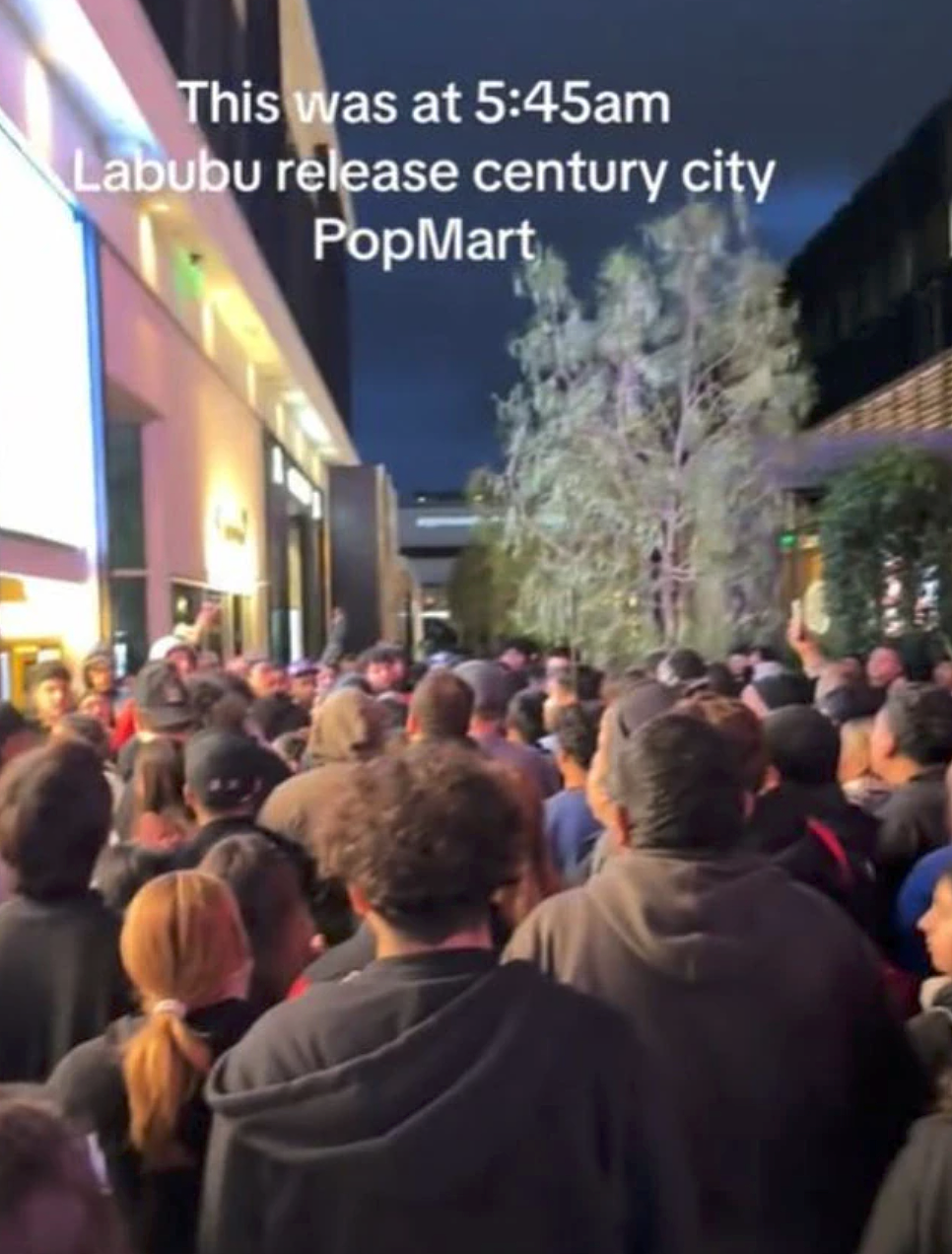 Labubu引发全澳狂潮！悉尼粉丝凌晨3点排队，路人直呼“邪教”（组图） - 3