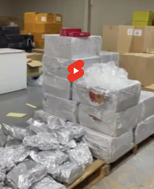 非法烟草泛滥!南澳警方突袭仓库,查获价值超$700万非法烟草(组图) - 2
