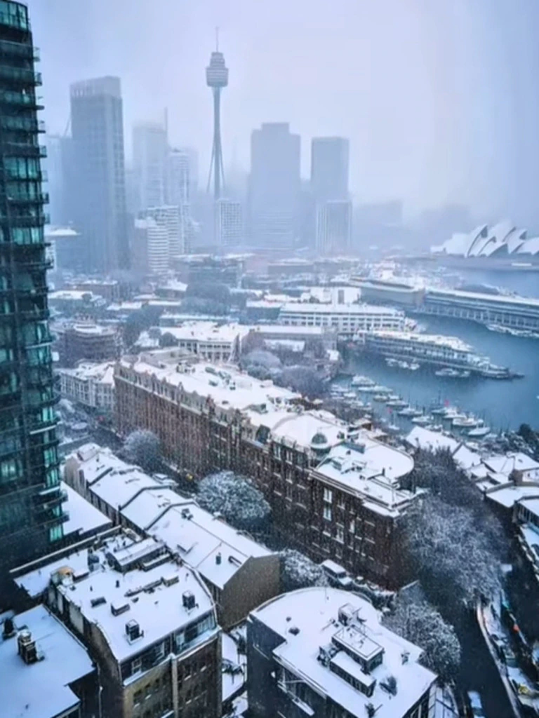 悉尼下雪会是什么样？一段AI视频网上走红！引发网友热议（视频/组图） - 4