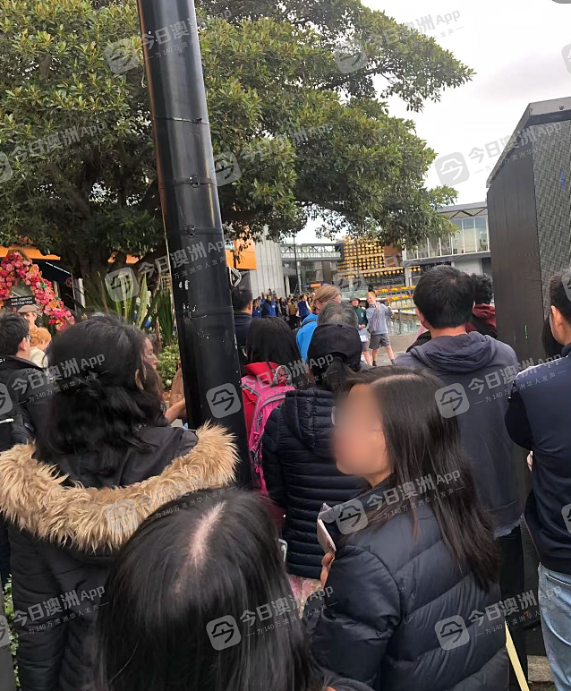 “这是制造不公！”悉尼精英OC考试大混乱，当局补救反火上浇油！华人家长群起声讨，“像吃了苍蝇一样”（组图） - 2