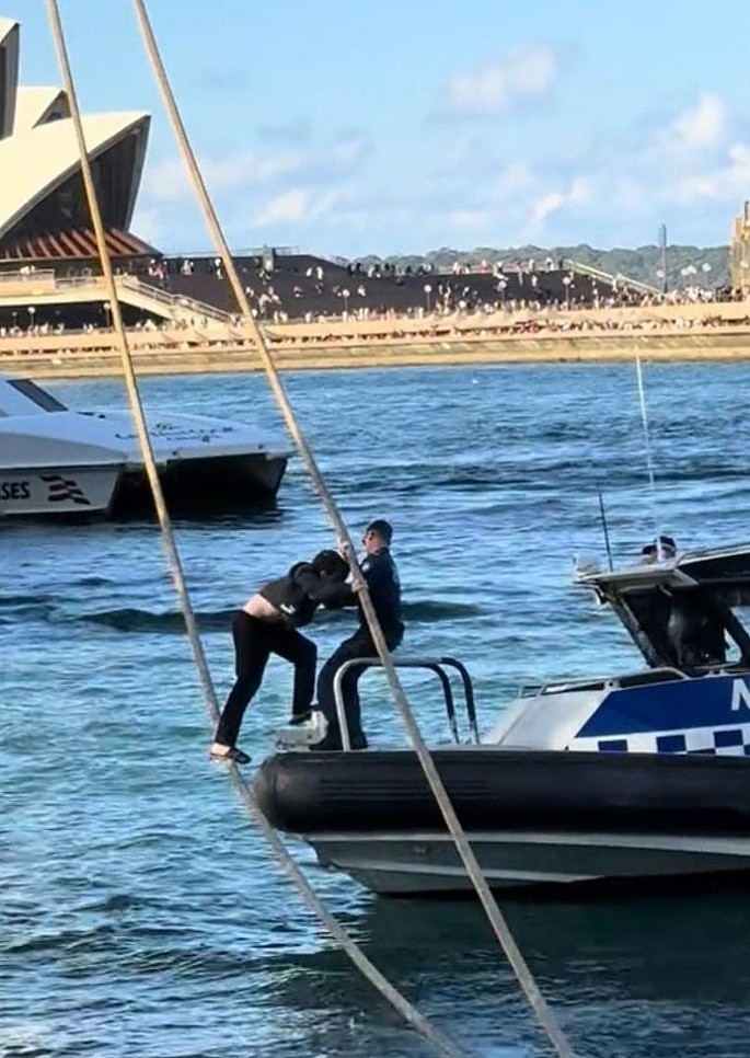 “蜘蛛侠”现身悉尼Circular Quay，引路人围观！最终被警员逮捕（视频/组图） - 4