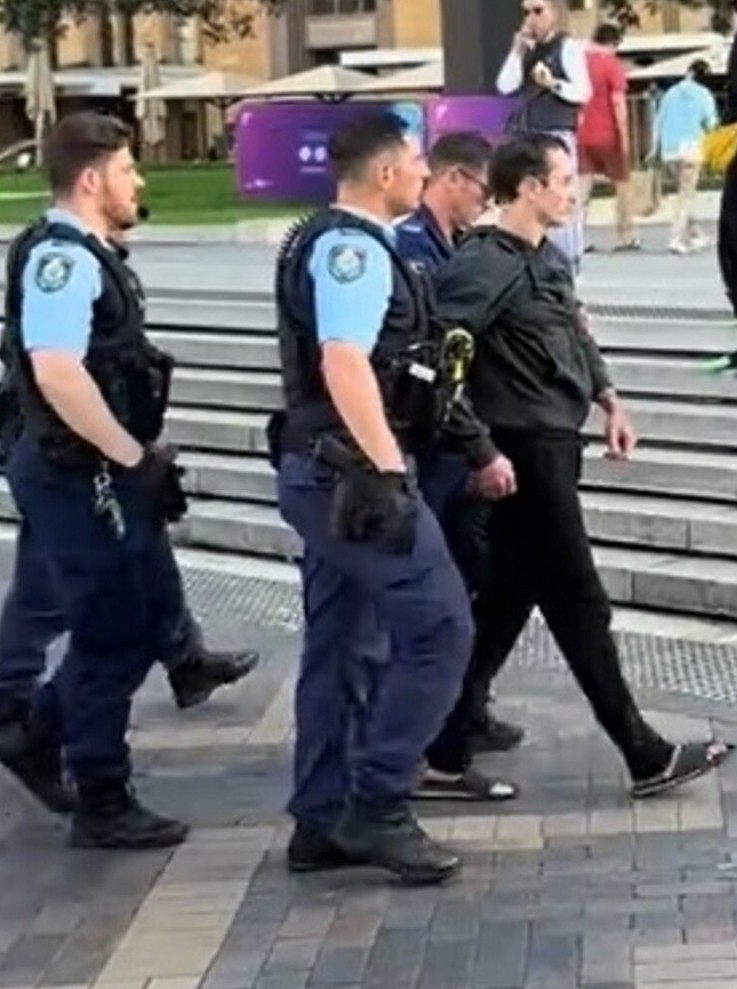 “蜘蛛侠”现身悉尼Circular Quay，引路人围观！最终被警员逮捕（视频/组图） - 5