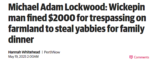 西澳男深夜偷捕小龙虾，被罚款$2000！（组图） - 1
