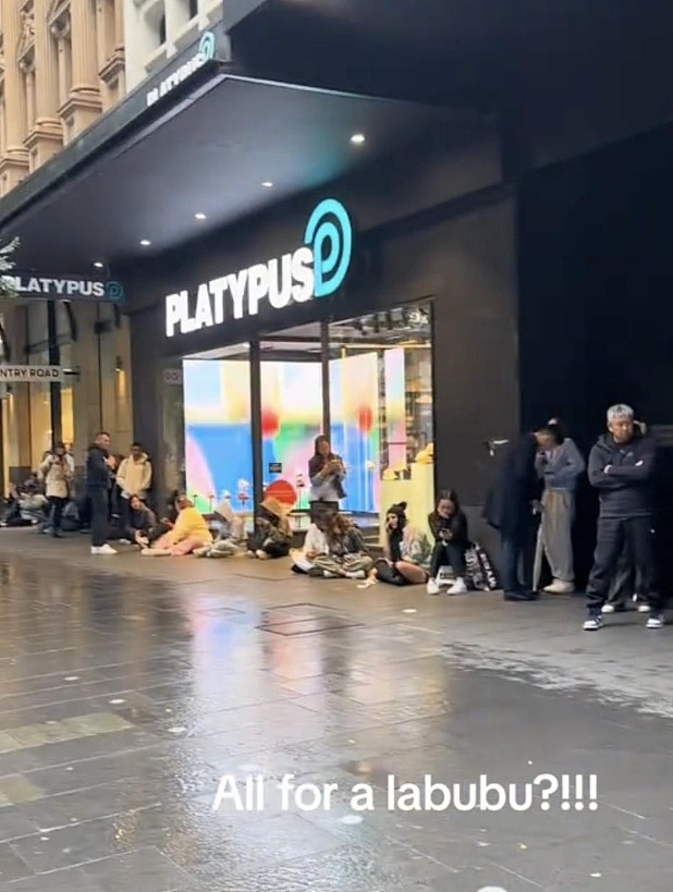 中国“网红”在澳掀起狂潮！有人凌晨3点排队抢购，还有人花$100找代排（组图） - 6