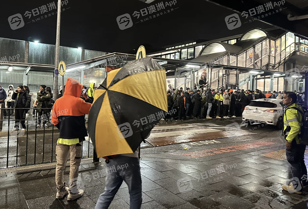 “‘牛马’最命苦!”悉尼城铁今晨再度大瘫痪,华人天未亮冒雨排队求通勤!州长道歉:“让公众失望了”(视频/组图) - 1