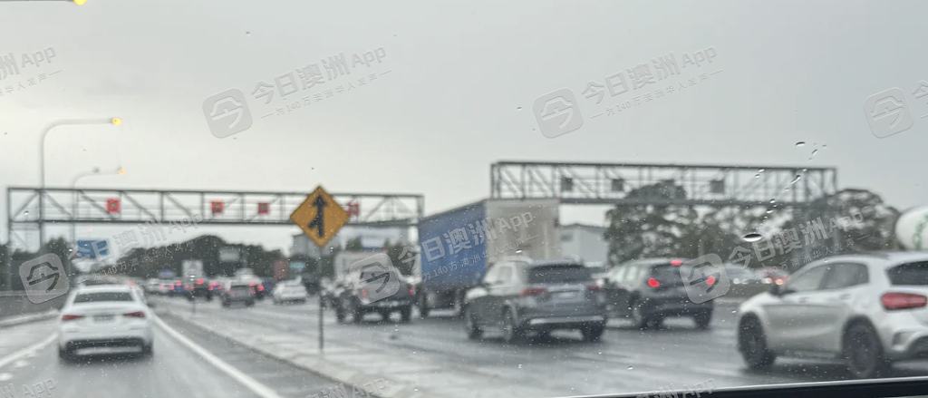 “‘牛马’最命苦!”悉尼城铁今晨再度大瘫痪,华人天未亮冒雨排队求通勤!州长道歉:“让公众失望了”(视频/组图) - 4
