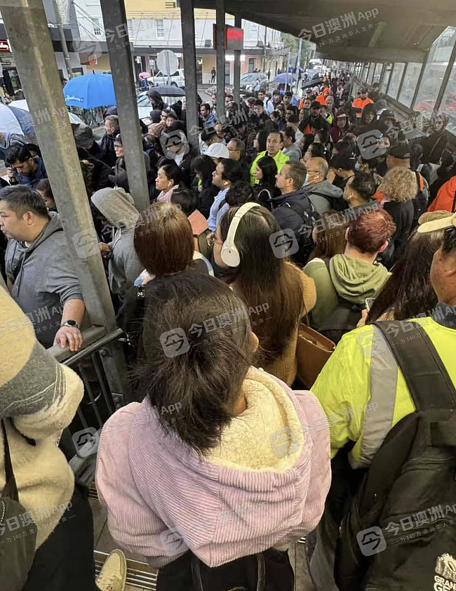“‘牛马’最命苦!”悉尼城铁今晨再度大瘫痪,华人天未亮冒雨排队求通勤!州长道歉:“让公众失望了”(视频/组图) - 2