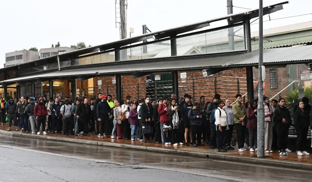 “‘牛马’最命苦!”悉尼城铁今晨再度大瘫痪,华人天未亮冒雨排队求通勤!州长道歉:“让公众失望了”(视频/组图) - 8