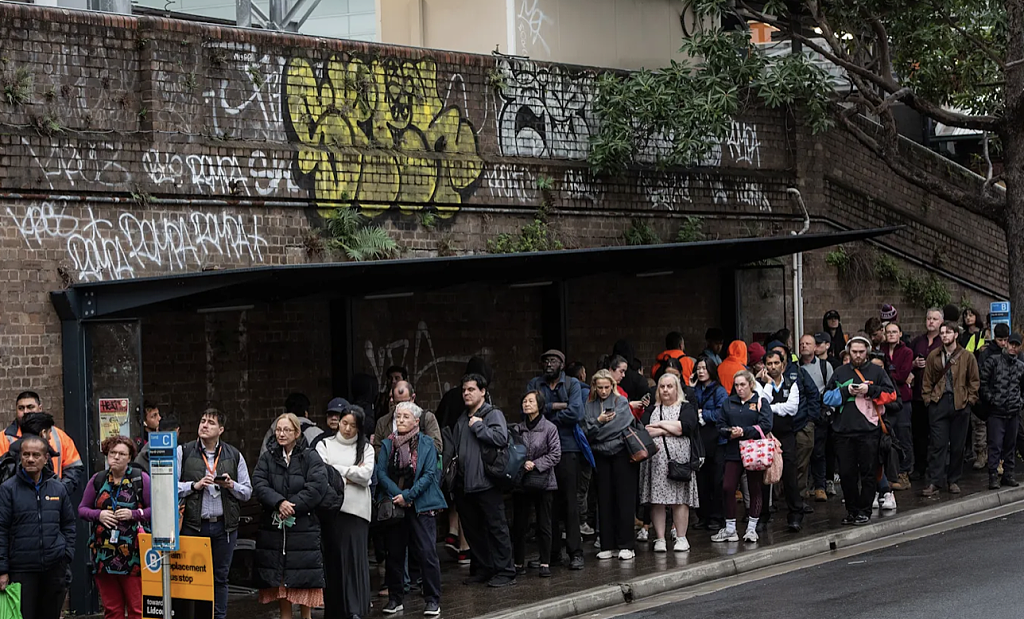 “‘牛马’最命苦!”悉尼城铁今晨再度大瘫痪,华人天未亮冒雨排队求通勤!州长道歉:“让公众失望了”(视频/组图) - 6