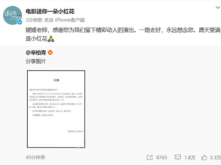 朱媛媛因病离世!生前抗癌五年无人知晓,最后一条微博藏深意(组图) - 14