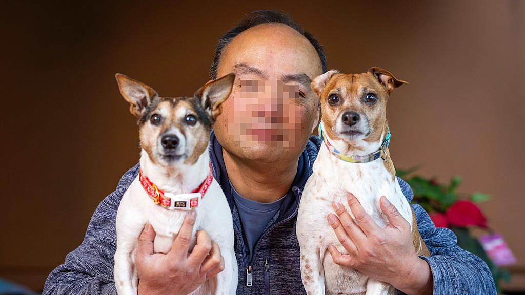 澳华人爱犬被指“狗吠扰民”,罚款$2300!宁花$10万打官司,誓与议会抗争到底(组图) - 2
