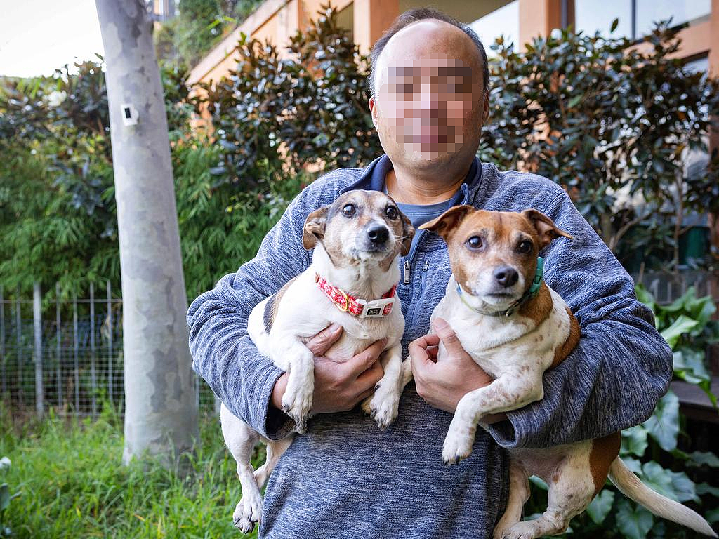 澳华人爱犬被指“狗吠扰民”,罚款$2300!宁花$10万打官司,誓与议会抗争到底(组图) - 3