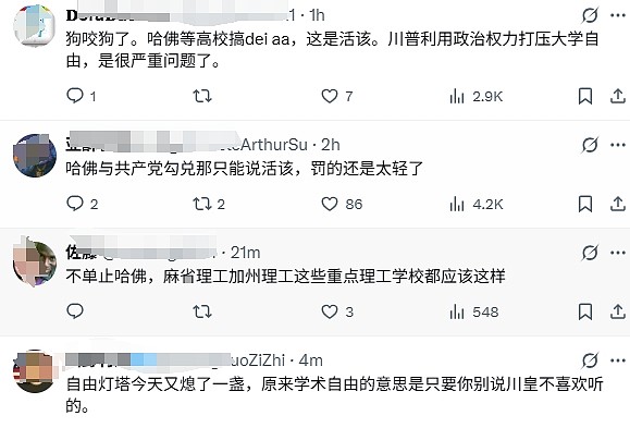 全网热议！美国封杀哈佛大学留学生项目：不转校就遣返！上千中国学生面临灭顶之灾（组图） - 8