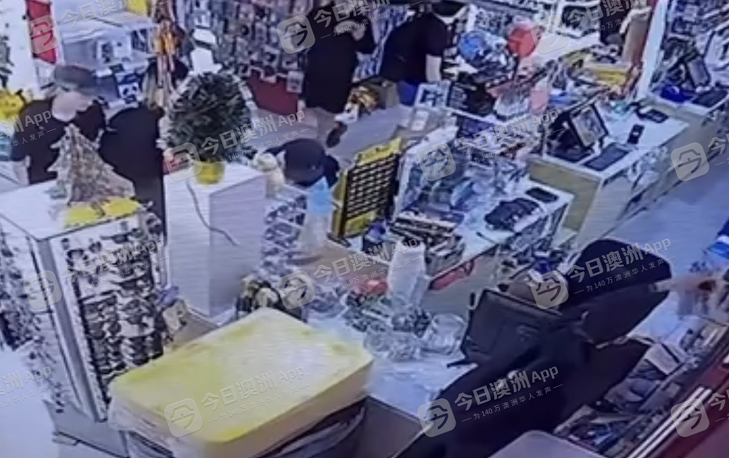 青少年结伙频频盗抢,少女竟持刀强闯!悉尼华人商家心灰意冷,热血同胞组队联防,“俺不是孬种!”(视频/组图) - 1