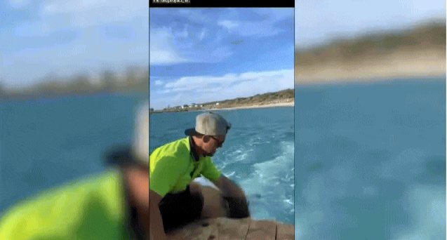 珀斯Tradie自制小船，走红网络！自称：这是最澳洲的船（图/GIF） - 2