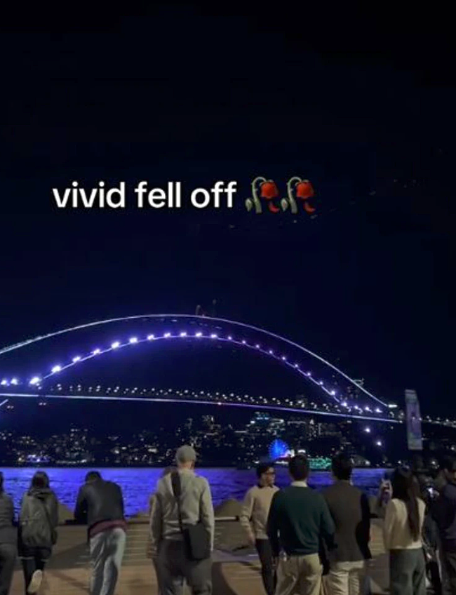 悉尼Vivid灯光节遇冷：亚洲游客直言“无聊透顶”，转身离去（视频/组图） - 3