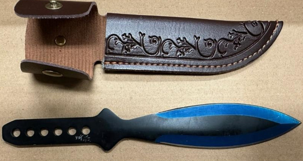 抢劫、盗窃、互殴…悉尼teenager为当“网红”在CBD频繁作案，麦当劳成“窝点”（组图） - 6