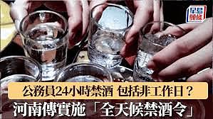 河南传实施公务员全天候禁酒令，胡锡进：高级黑（图） - 1