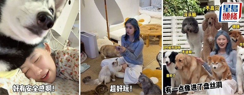400元一夜!深圳酒店推宠物陪睡,网友:这年头经济不好猫狗都下海了(组图) - 1