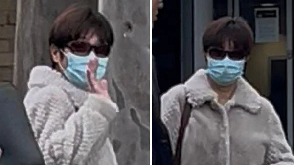 澳华女参与犯罪团伙，走私近3万只鲍鱼！被判12个月矫行令（组图） - 2