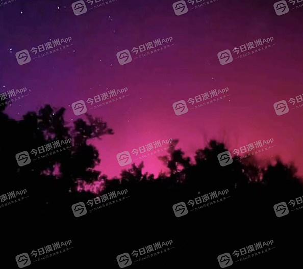 “光柱在跳舞!”南极光震撼来袭,澳洲华人饱赏视觉盛宴!“太梦幻,人生圆满了!”(视频/组图) - 3