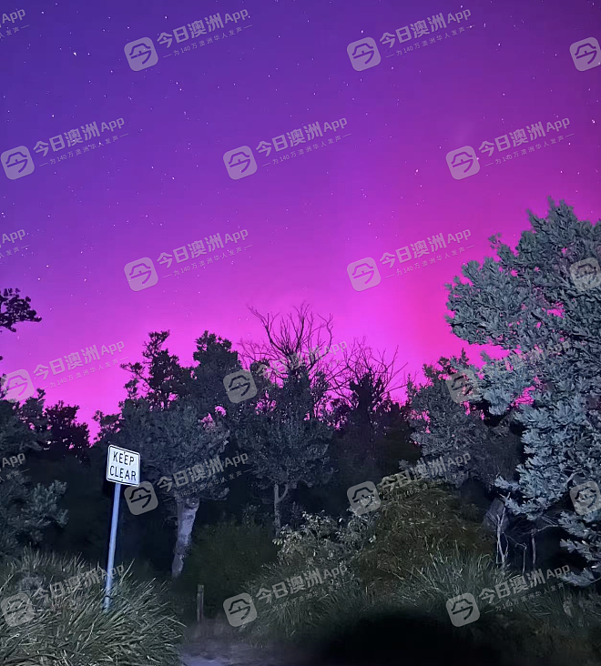 “光柱在跳舞!”南极光震撼来袭,澳洲华人饱赏视觉盛宴!“太梦幻,人生圆满了!”(视频/组图) - 2