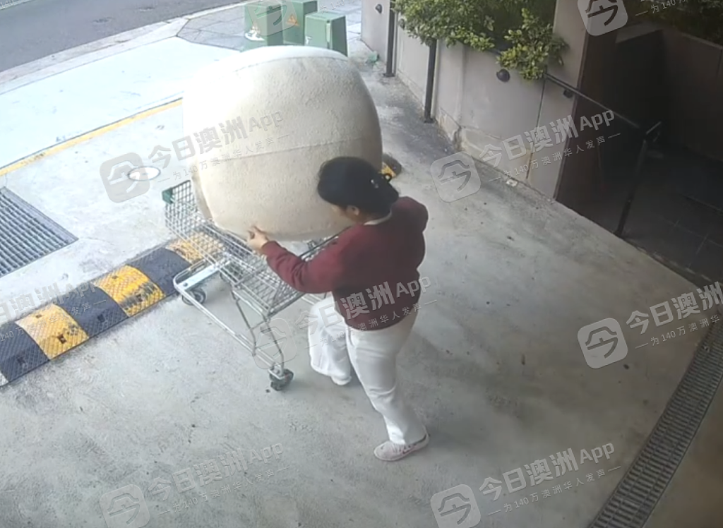 “给华人丢脸！”悉尼华人区车库大白天被盗，窃贼疑似中年华女！店主怒曝监控，“太明目张胆了！”（视频/组图） - 1