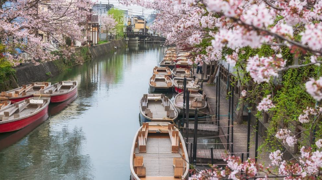 日本成澳人最爱海外度假地,巴厘岛只排在第二(组图) - 2